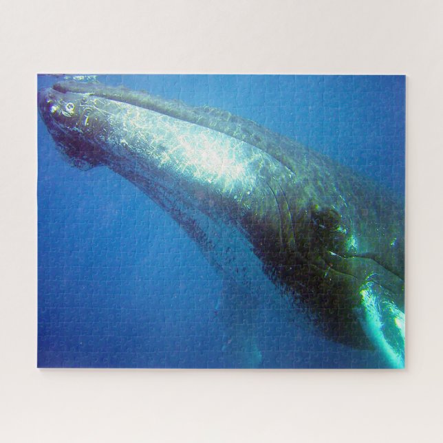 Humpback Whale Alaska Puzzle (Horizontal)