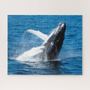 Humpback Whale Alaska Puzzle