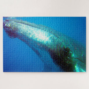Humpback Whale Alaska Puzzle