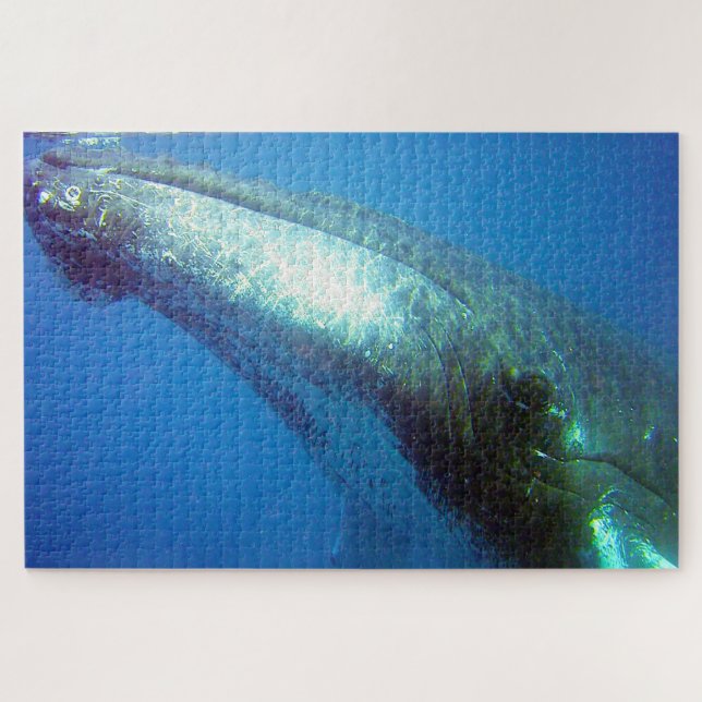 Humpback Whale Alaska Puzzle (Horizontal)