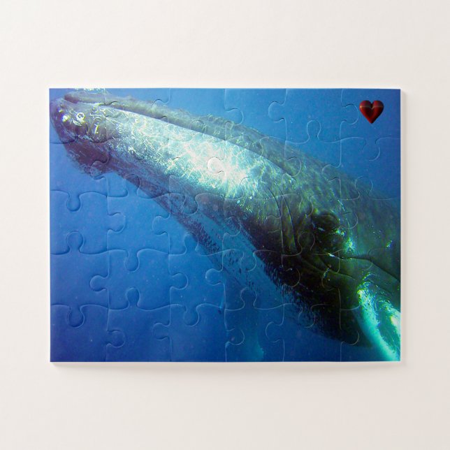 Humpback Whale Alaska Puzzle (Horizontal)