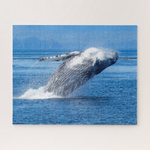 Humpback Whale Alaska Puzzle