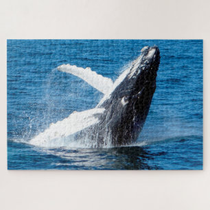 Humpback Whale Alaska Puzzle