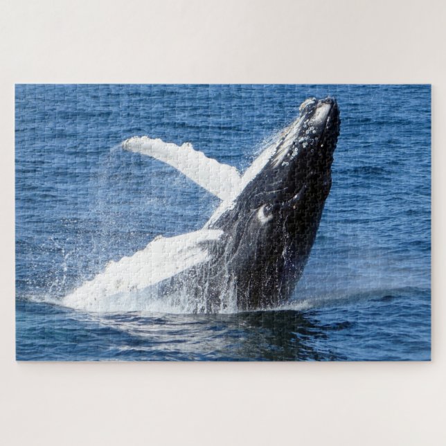 Humpback Whale Alaska Puzzle (Horizontal)