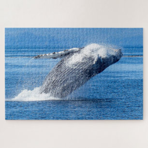 Humpback Whale Alaska Puzzle