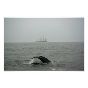 Humpback Whale and Tall Ship 2 Foto