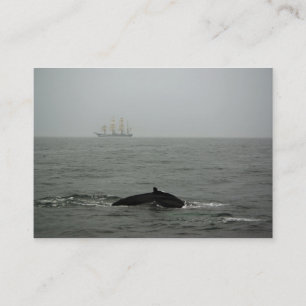 Humpback Whale and Tall Ship Mini Print Visitenkarte