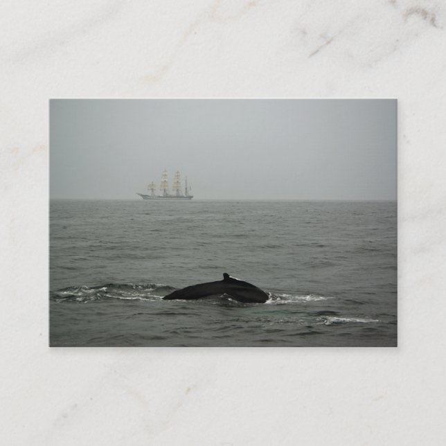 Humpback Whale and Tall Ship Mini Print Visitenkarte (Vorderseite)