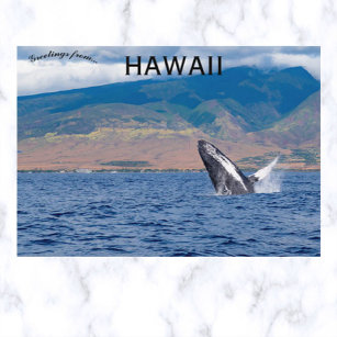 Humpback Whale Breaching Lahaina Hawaii Postkarte