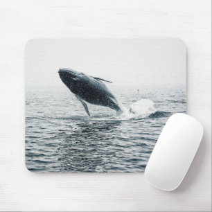 Humpback Whale Calf Mousepad