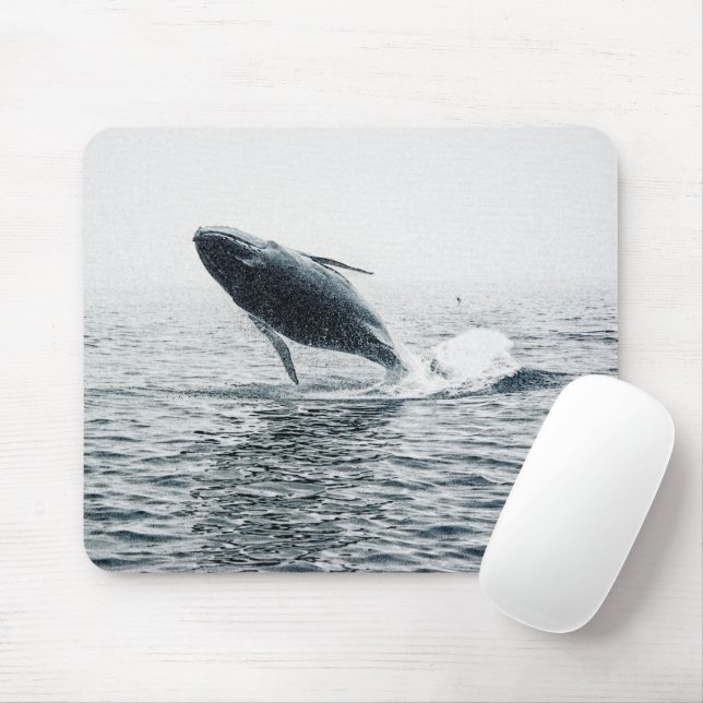 Humpback Whale Calf Mousepad (Mit Mouse)