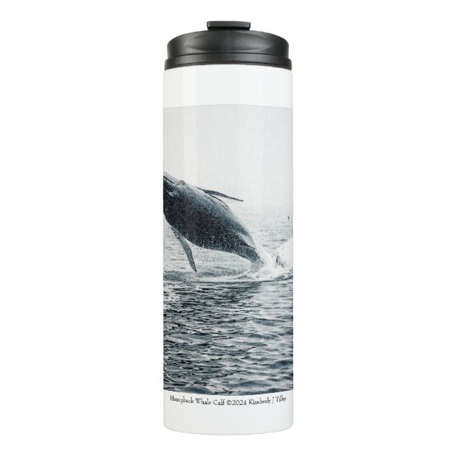 Humpback Whale Calf Thermosbecher (Vorderseite)