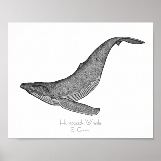 Humpback Whale Dotwork Poster (Vorne)