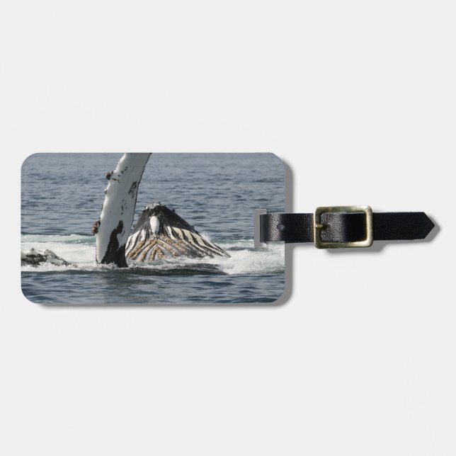 Humpback Whale Gepäckanhänger (Vorderseite horizontal)