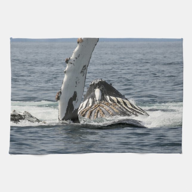 Humpback Whale Geschirrtuch (Horizontal)