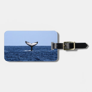 Humpback Whale im Ozean Gepäckanhänger