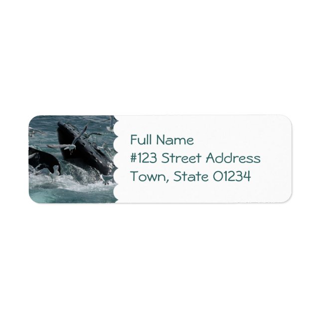 Humpback Whale Mailing Label (Vorne)