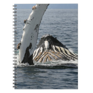 Humpback Whale Notizblock