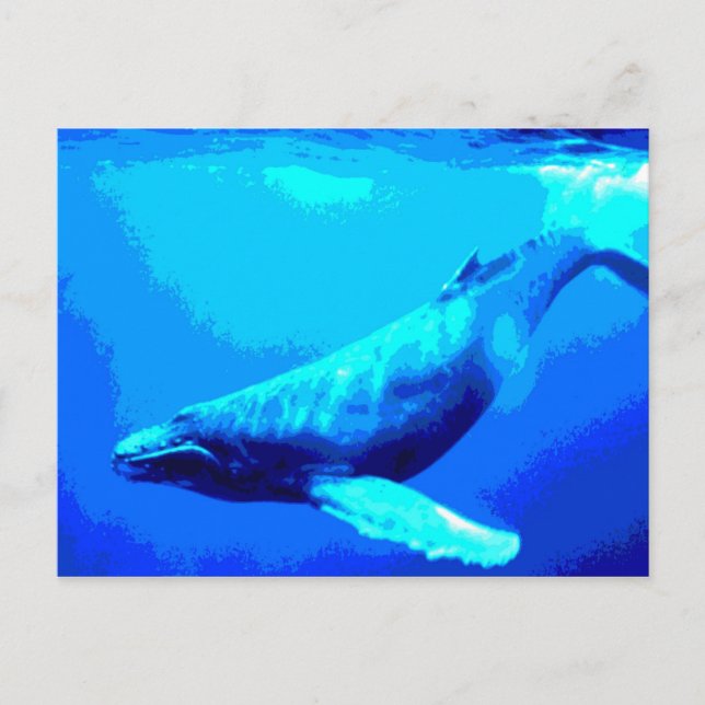 Humpback Whale Postkarte (Vorderseite)