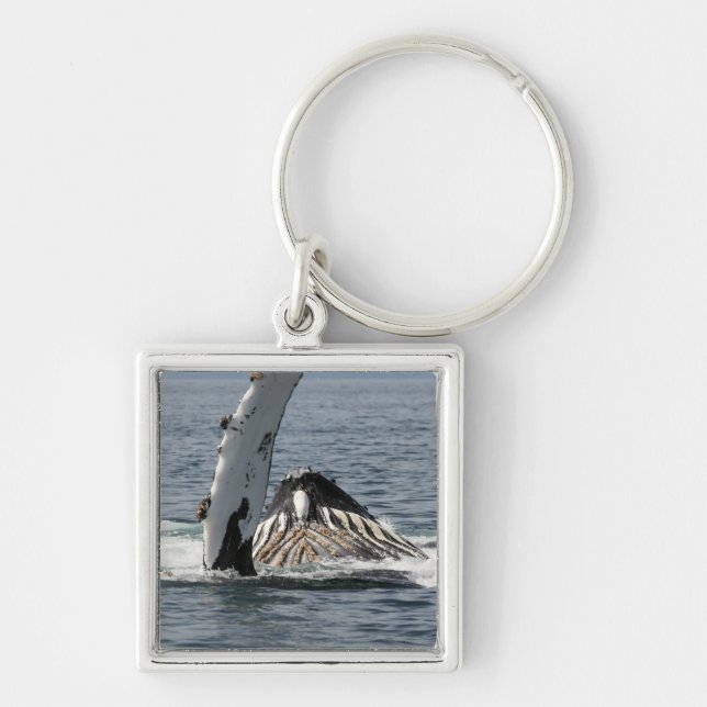 Humpback Whale Schlüsselanhänger (Vorne)