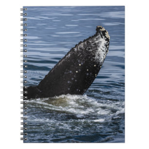 Humpback Whale Schwanz Nah Up - Wildlife Fotograf Notizblock
