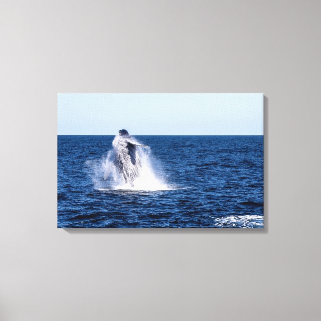 Humpback Whale Stretched Canvas Print Leinwanddruck (Vorderseite)