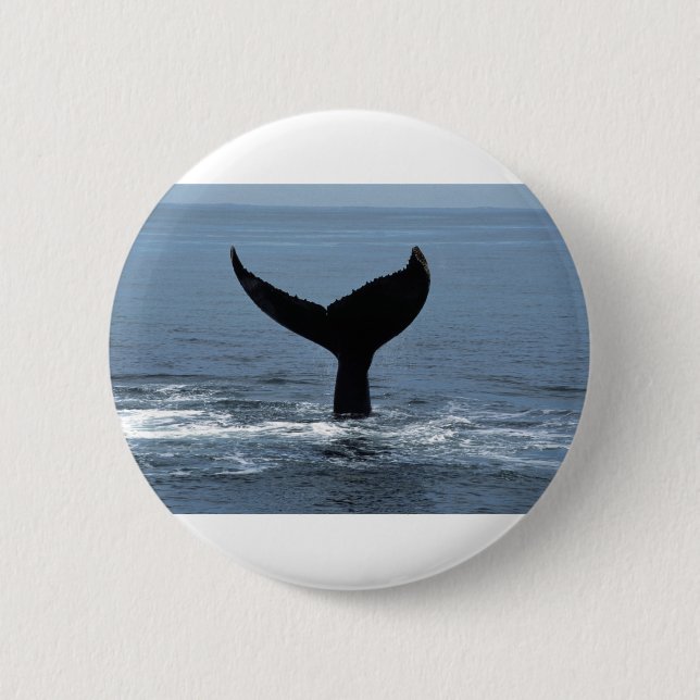Humpback whale tail button (Vorderseite)