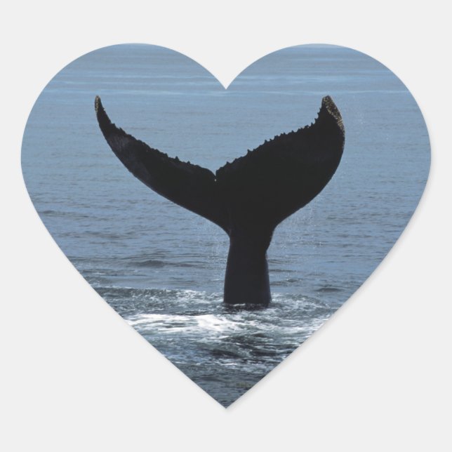 Humpback whale tail Herz-Aufkleber (Vorderseite)
