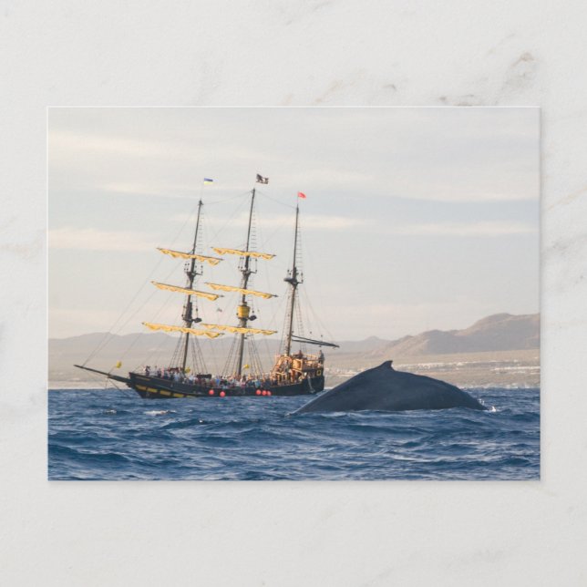 Humpback Whale und Ship Postkarte (Vorderseite)