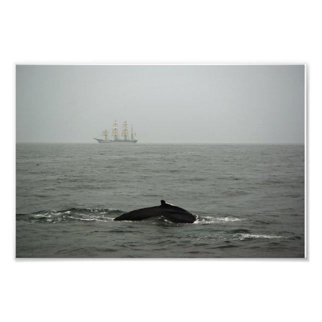 Humpback Whale und Tall Ship Foto (Vorne)