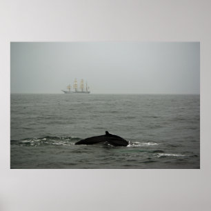 Humpback Whale und Tall Ship Print Poster