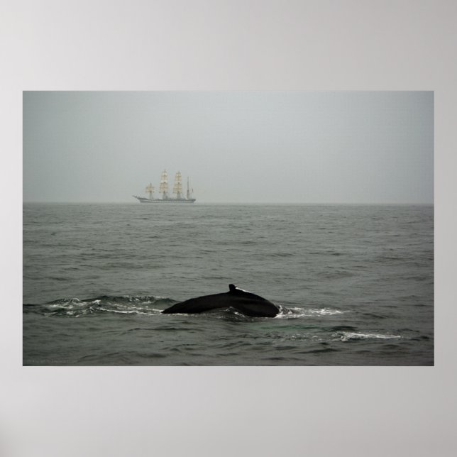 Humpback Whale und Tall Ship Print Poster (Vorne)