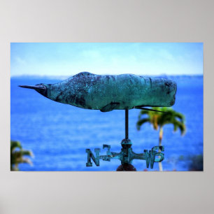Humpback Whale Weather Vane Poster