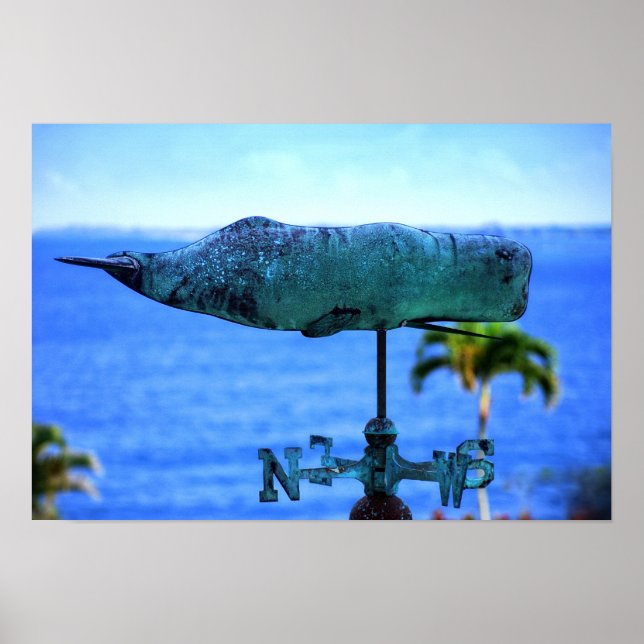 Humpback Whale Weather Vane Poster (Vorne)