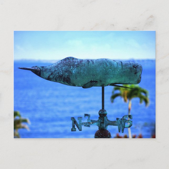 Humpback Whale Weather Vane Postkarte (Vorderseite)