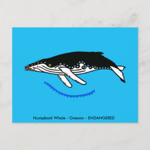 Humpback WHALE - Wildtiere - Natur - Postkarte