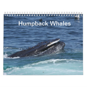 Humpback Whales Kalender 2014