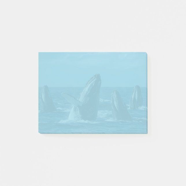 Humpback Whales Post-it Klebezettel (Vorderseite)
