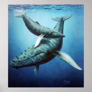 Humpbacks 'Serenity' Mutter & Calf - Canvas print Poster