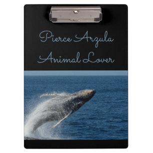 Humpbackwal - der Bruch: Klemmbrett