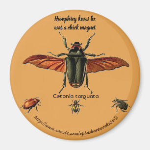 "Humphrey wusste, dass er ein Küken-Magnet war. Magnet