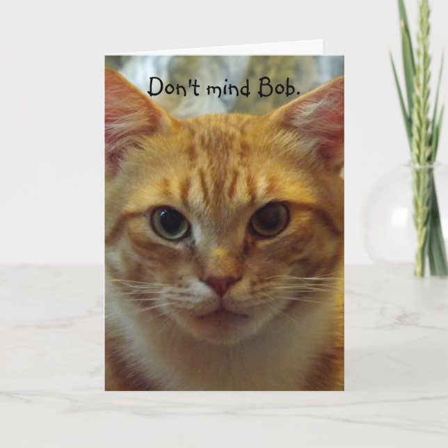 Humsive Cat Birthday Card Karte (Vorderseite)