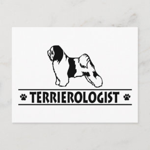 Humurer tibetischer Terrier Postkarte