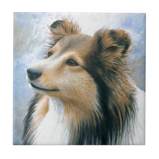 Hund122 Sheltie Collie Fliese (Vorderseite)
