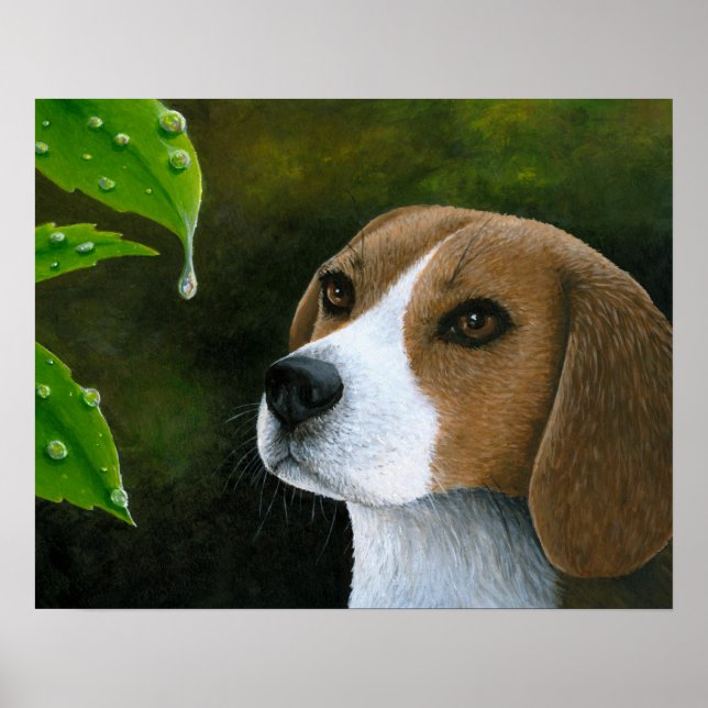Hund 116 Beagle Poster (Vorne)