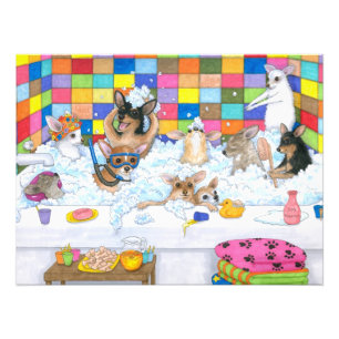 Hund 121 Funny Chihuahua im Bad Fotodruck