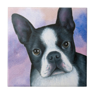 Hund 128 color Boston Terrier Fliese