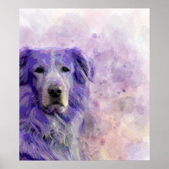 Hund 140 Golden Retriever Poster (Vorne)