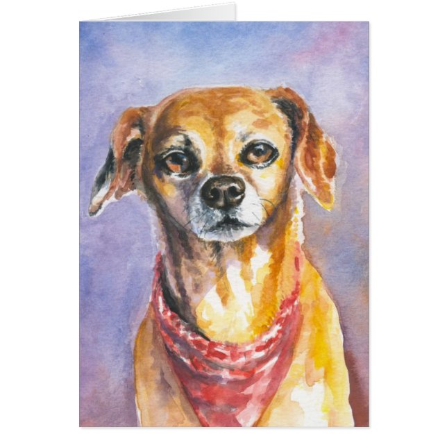 Hund 2 (Vorne)