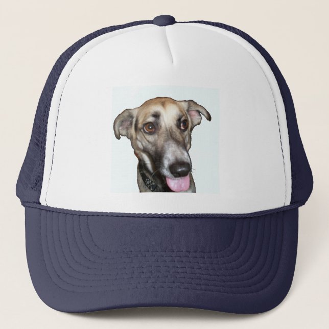 Hund 2, Hut Truckerkappe (Vorderseite)